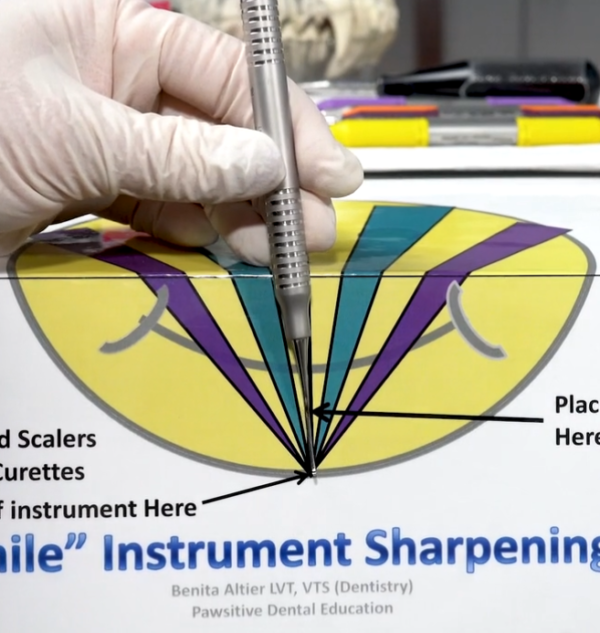 Hand Instrument Sharpening Video-Gracie Curette "Smile Sharpening Guide"