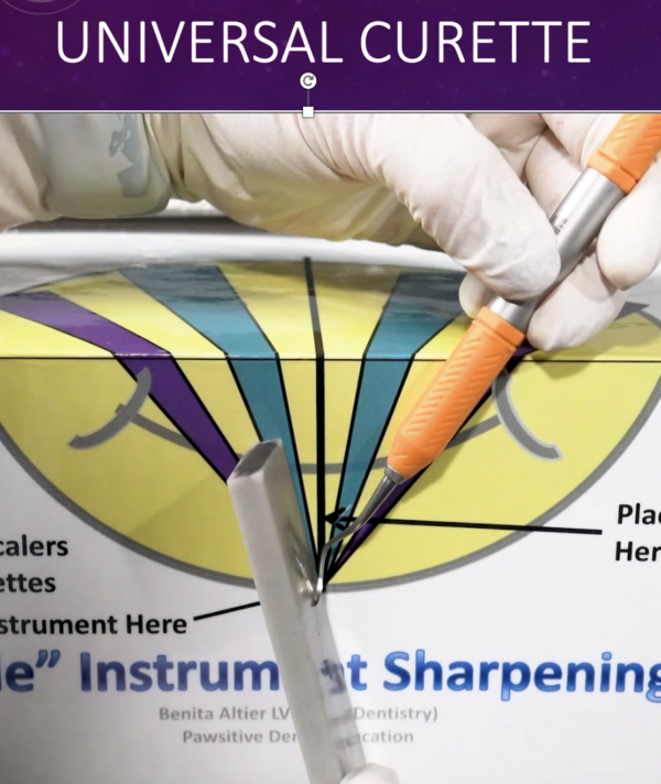 "Just Smile" Instrument Sharpening Guide for Dental Scalers and Curettes